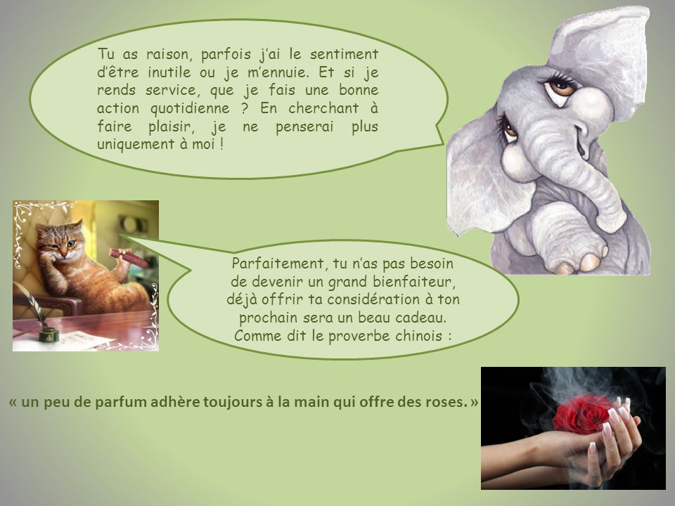 ELEPHANT ATTITUDE Et Le Stress - Ppt Télécharger