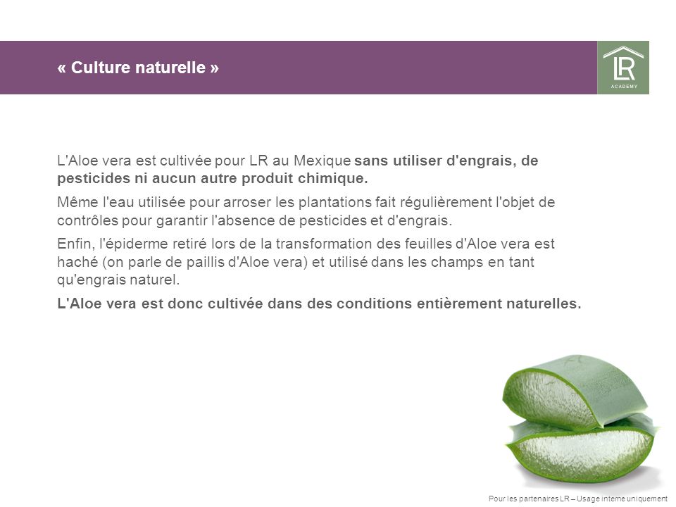 « Culture naturelle » L Aloe vera est cultivée pour LR au Mexique sans utiliser d engrais, de pesticides ni aucun autre produit chimique.