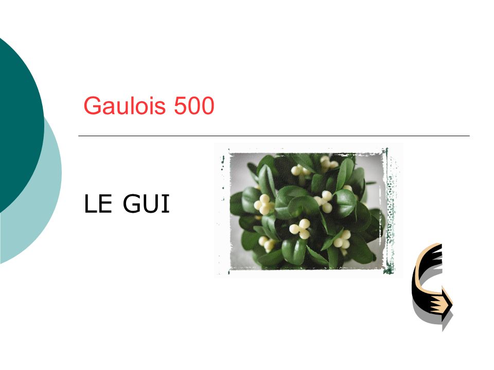 Gaulois 500 LE GUI