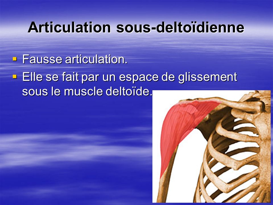 Articulation sous-deltoïdienne