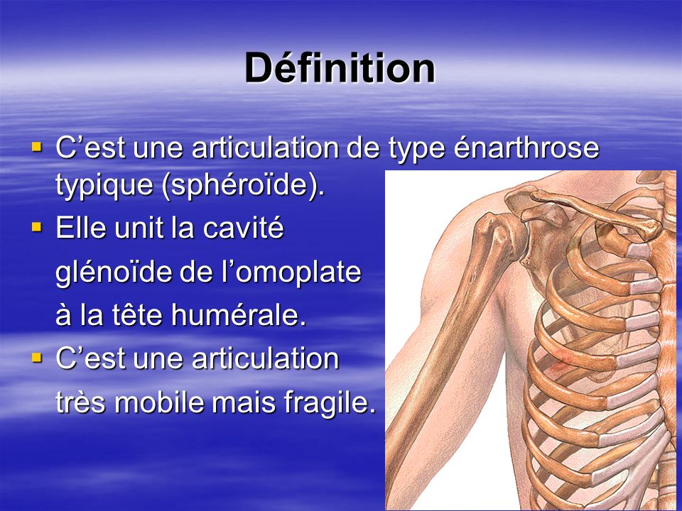 Définition C’est une articulation de type énarthrose typique (sphéroïde). Elle unit la cavité. glénoïde de l’omoplate.