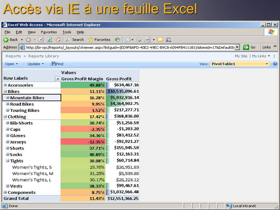 Accès via IE à une feuille Excel
