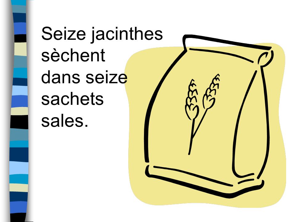 Seize jacinthes sèchent dans seize sachets sales.