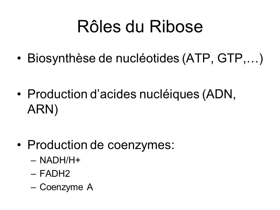 Rôles du Ribose Biosynthèse de nucléotides (ATP, GTP,…)