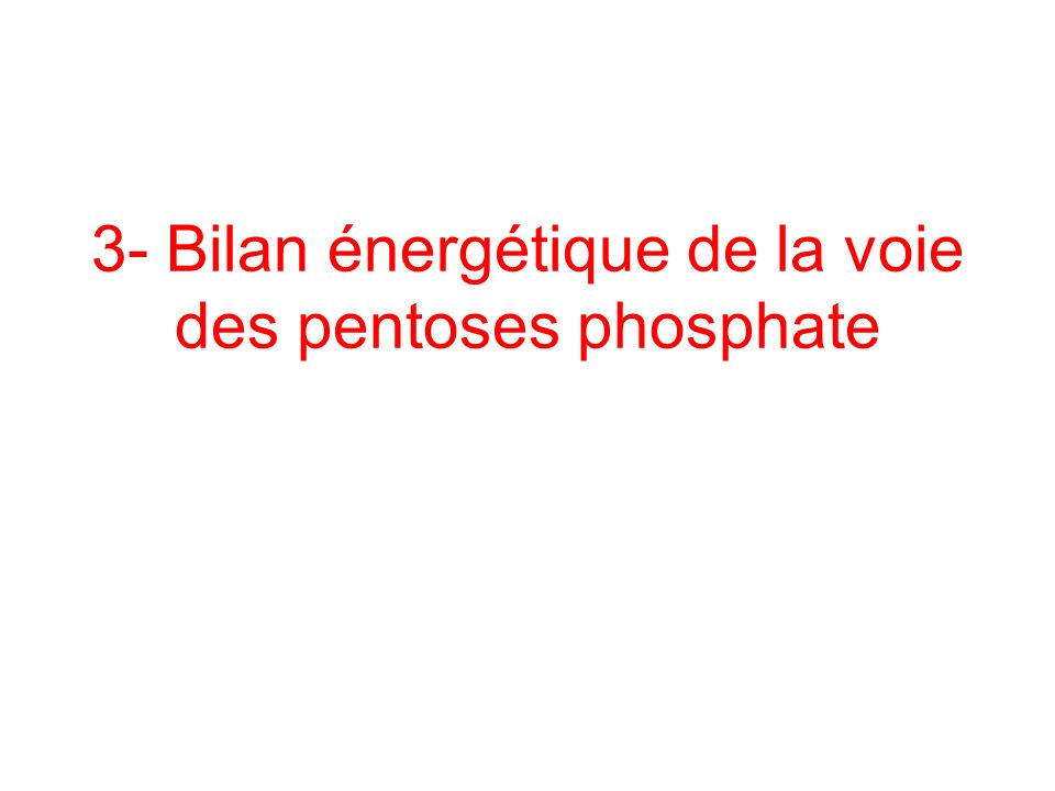 3- Bilan énergétique de la voie des pentoses phosphate