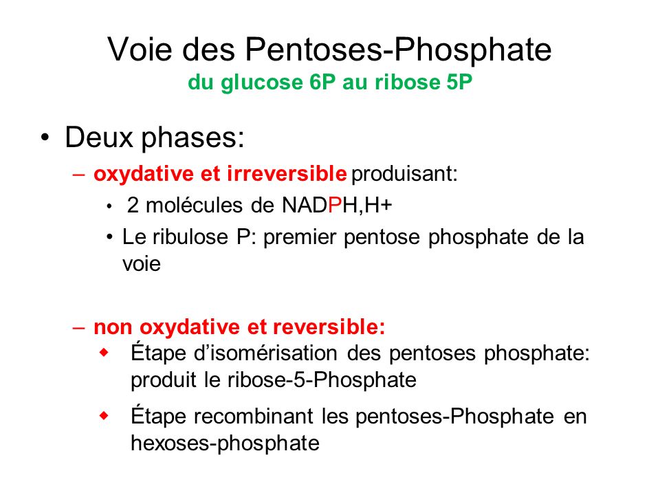 Voie des Pentoses-Phosphate du glucose 6P au ribose 5P