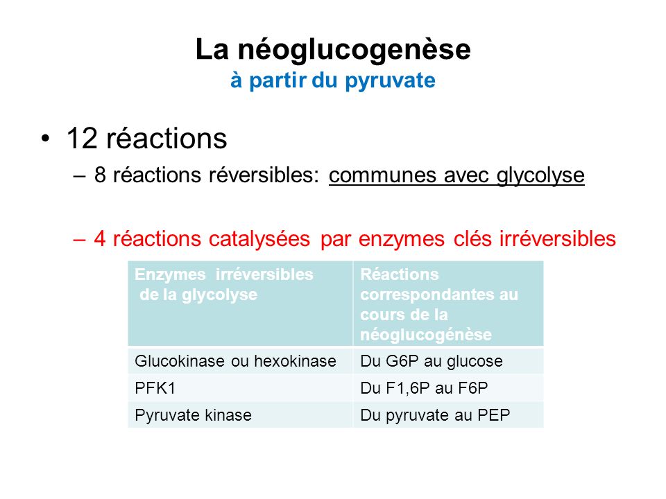 La néoglucogenèse à partir du pyruvate
