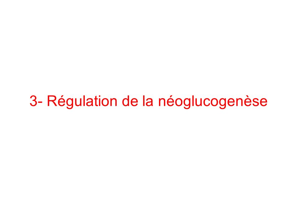3- Régulation de la néoglucogenèse
