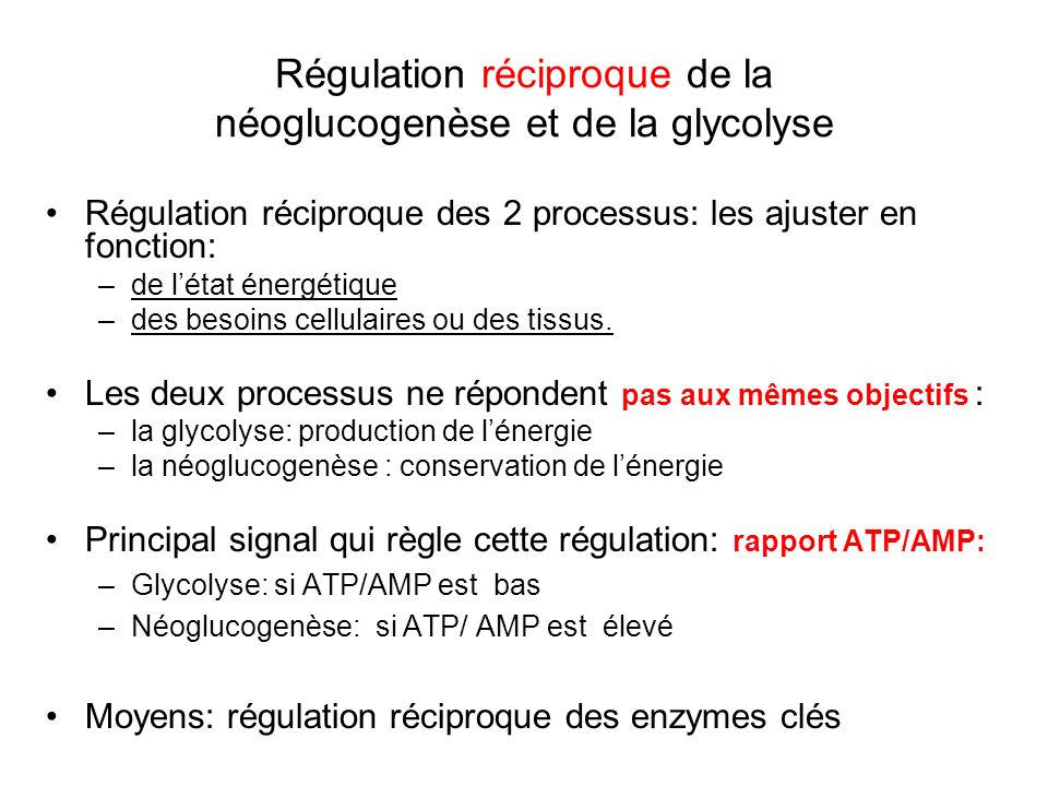 Régulation réciproque de la néoglucogenèse et de la glycolyse