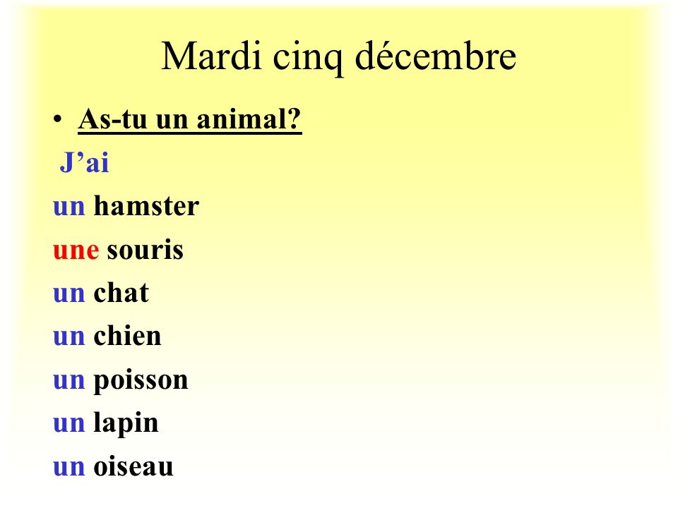 Mardi cinq décembre As-tu un animal J’ai un hamster une souris