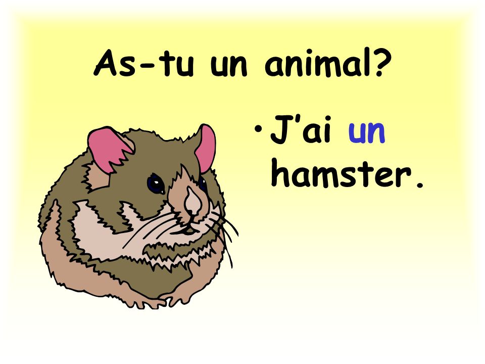 As-tu un animal J’ai un hamster.