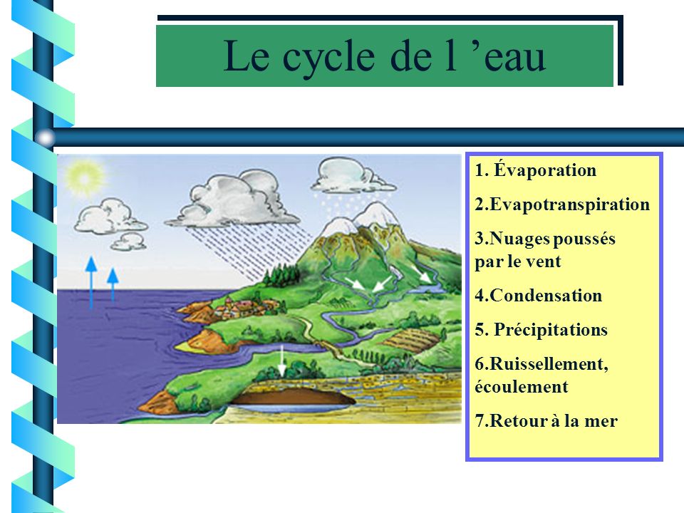 Le cycle de l ’eau 1. Évaporation 2.Evapotranspiration