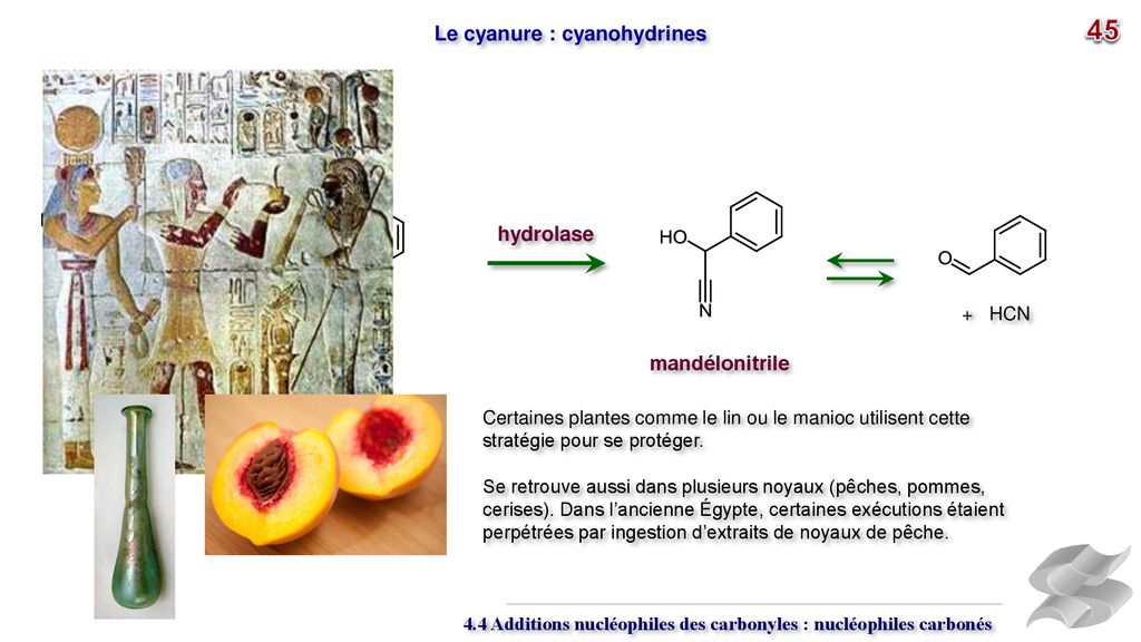 Les Composés Macrolide Antibiotique Remplace La Pénicilline