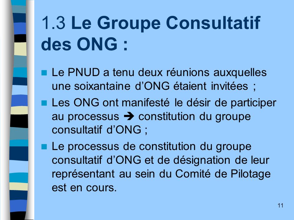 1.3 Le Groupe Consultatif des ONG :