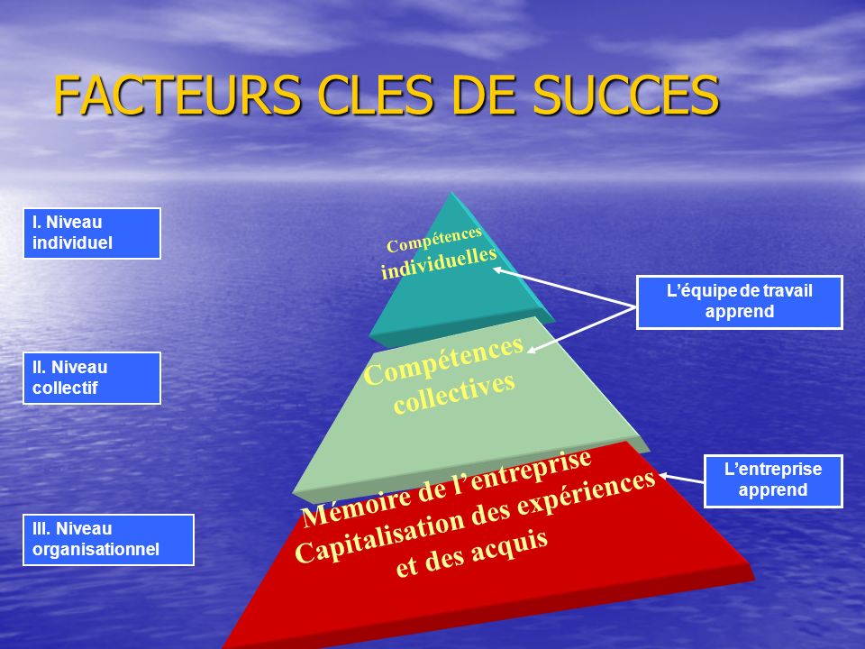 FACTEURS CLES DE SUCCES