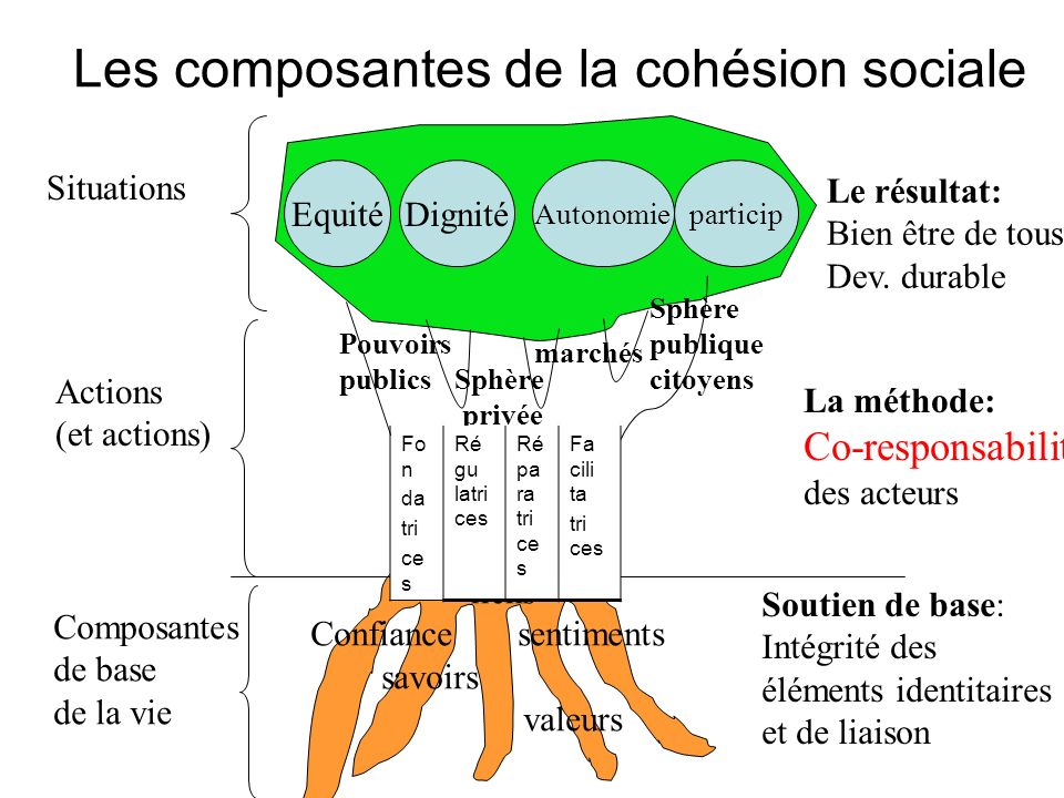 Les composantes de la cohésion sociale