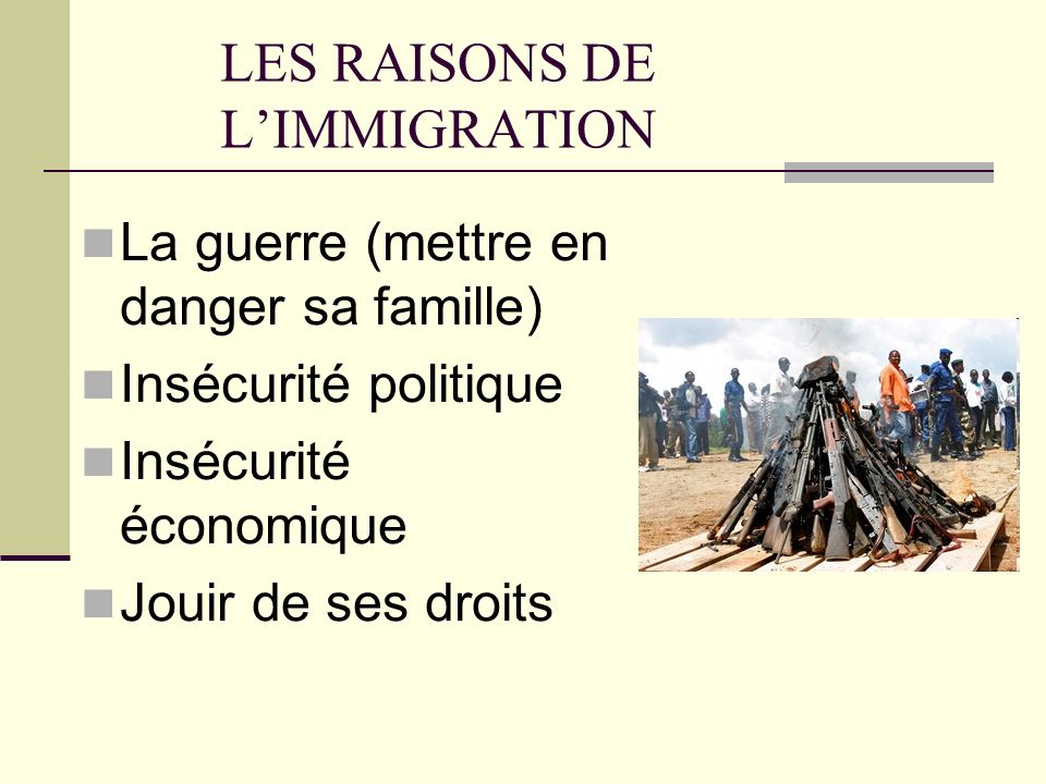 LES RAISONS DE L’IMMIGRATION