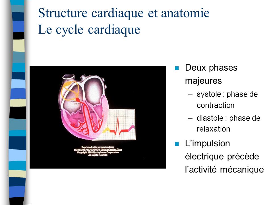 Structure cardiaque et anatomie Le cycle cardiaque