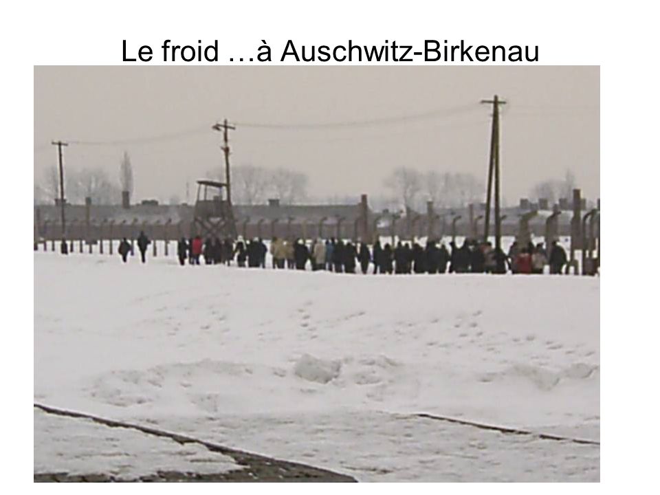Le froid …à Auschwitz-Birkenau