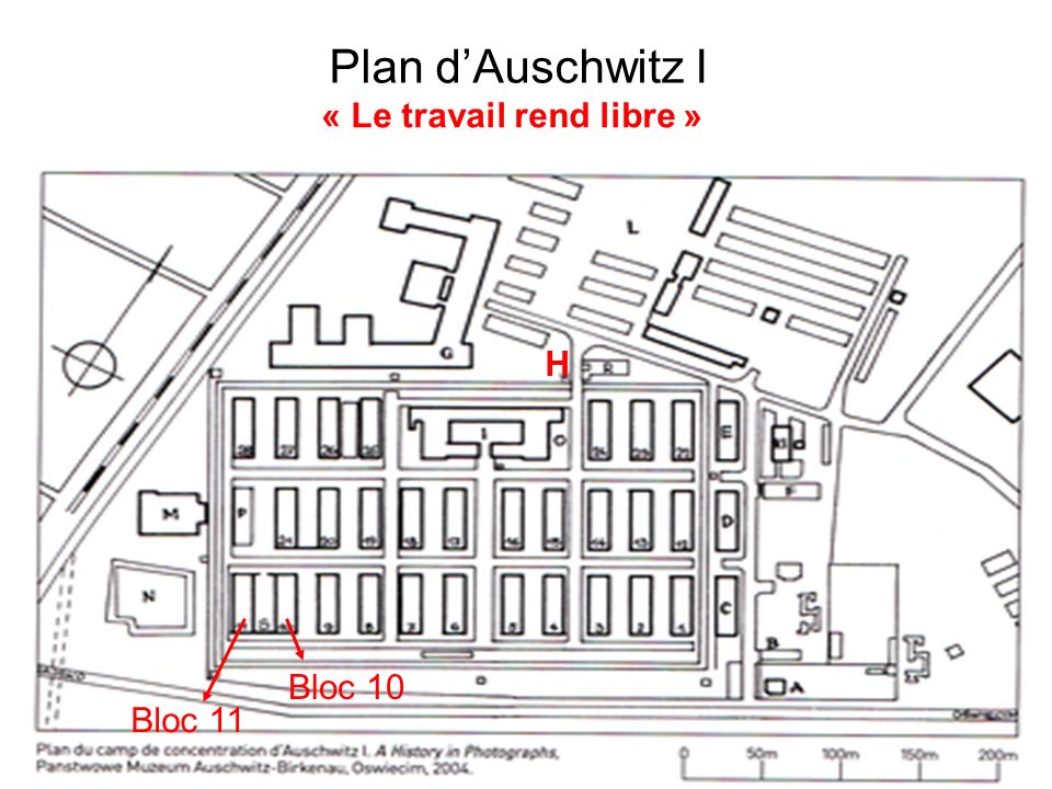 Plan d’Auschwitz I « Le travail rend libre » H Bloc 10 Bloc 11