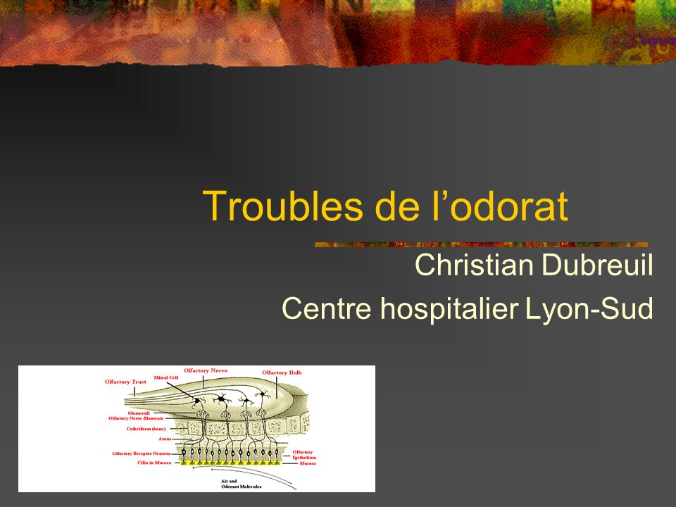 Christian Dubreuil Centre hospitalier Lyon-Sud