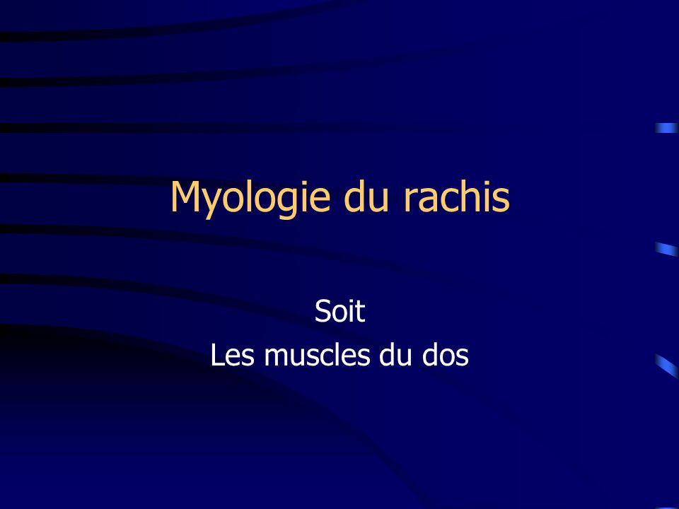 Myologie du rachis Soit Les muscles du dos