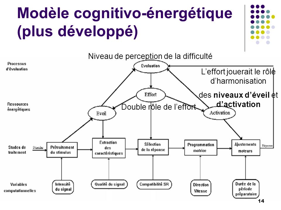 Modèle cognitivo-énergétique (plus développé)