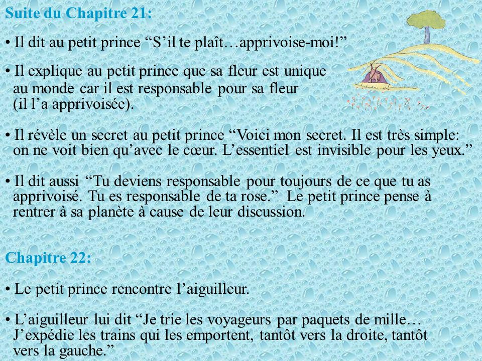 Suite du Chapitre 21: Il dit au petit prince S’il te plaît…apprivoise-moi! Il explique au petit prince que sa fleur est unique.