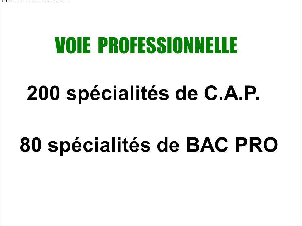 VOIE PROFESSIONNELLE 200 spécialités de C.A.P. 80 spécialités de BAC PRO