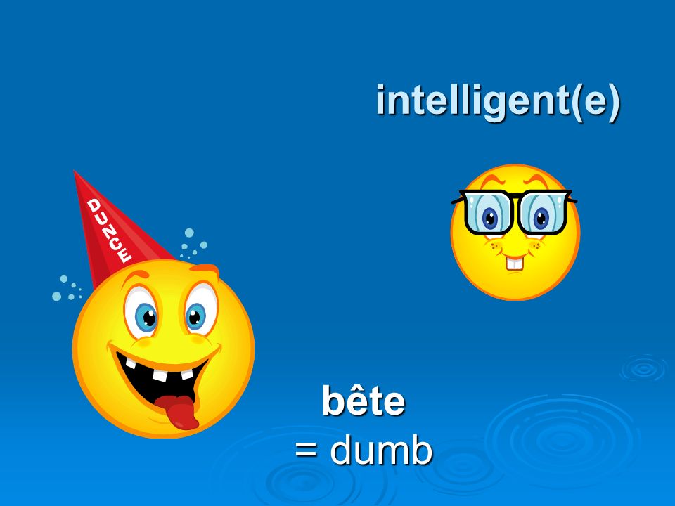 intelligent(e) bête = dumb