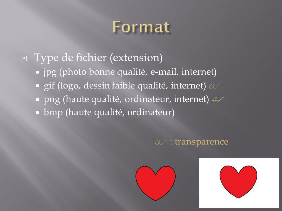 Format Type de fichier (extension)