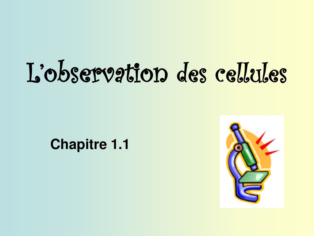 Lobservation Des Cellules Ppt T L Charger