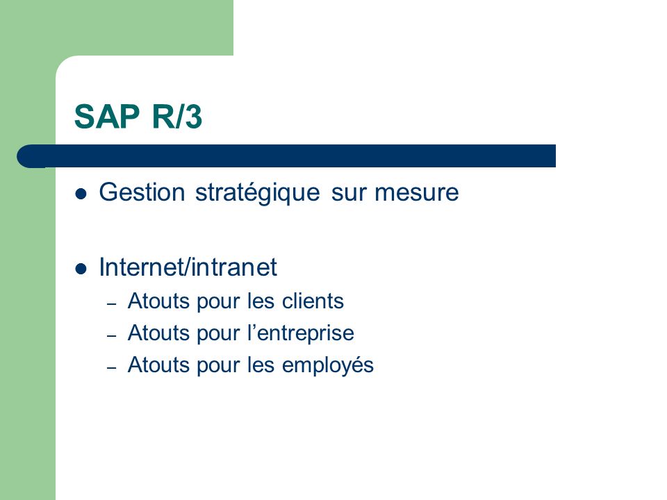 SAP R/3 Gestion stratégique sur mesure Internet/intranet