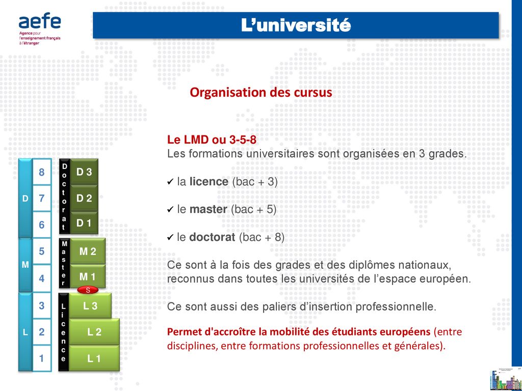 Choisir L’enseignement Supérieur Français Après Le Bac Pour La Rentrée ...