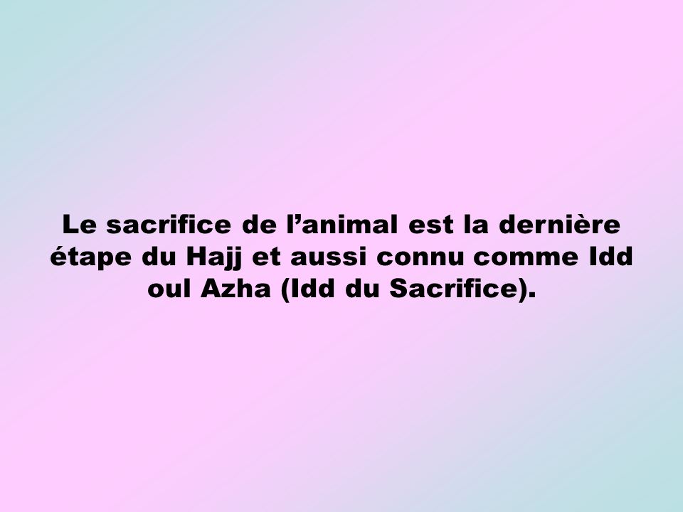 Le sacrifice de l’animal est la dernière étape du Hajj et aussi connu comme Idd oul Azha (Idd du Sacrifice).