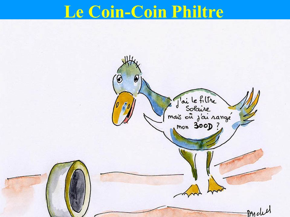 Le Coin-Coin Philtre