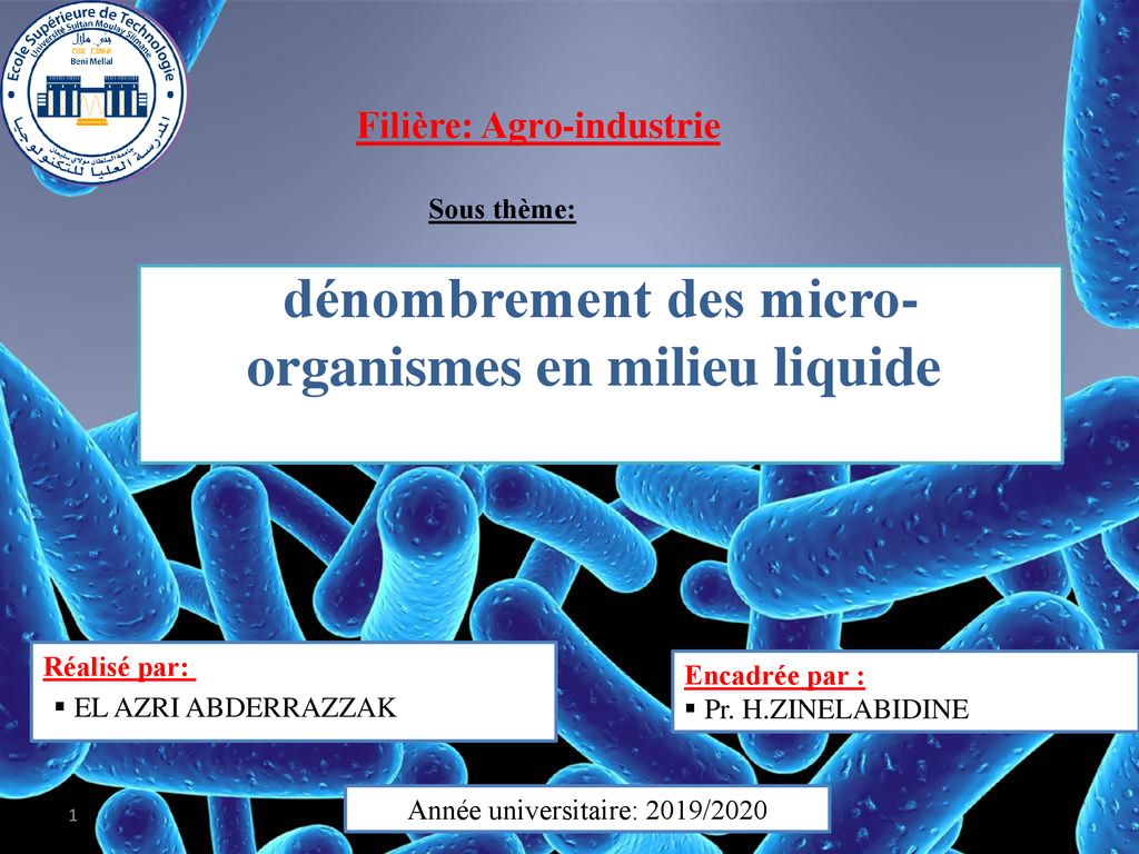 Dénombrement Des Micro Organismes En Milieu Liquide Ppt Télécharger 5538