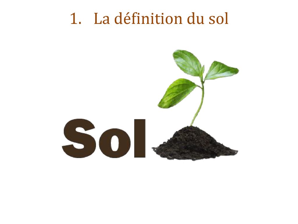 La définition du sol