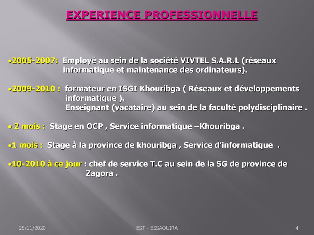 EXPERIENCE PROFESSIONNELLE