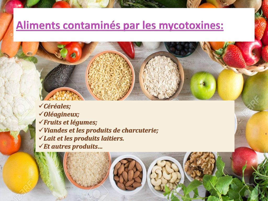 INTOXICATION ALIMENTAIRE PAR LES MYCOTOXINES - Ppt Télécharger