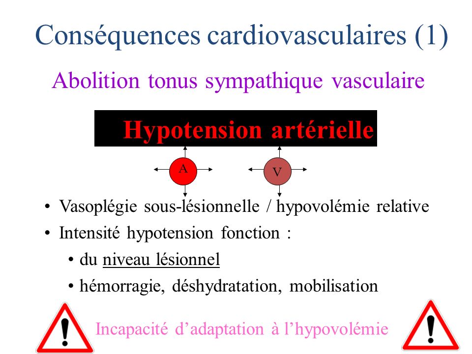 Conséquences cardiovasculaires (1)