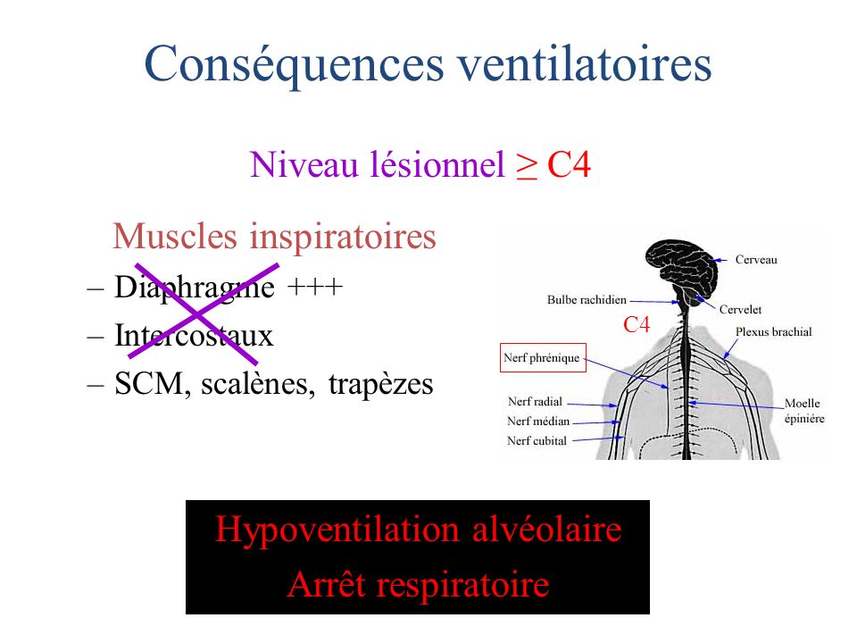 Conséquences ventilatoires