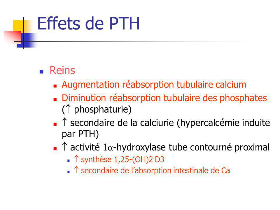 Effets de PTH Reins Augmentation réabsorption tubulaire calcium