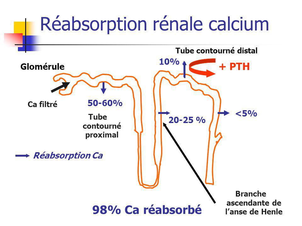 Réabsorption rénale calcium