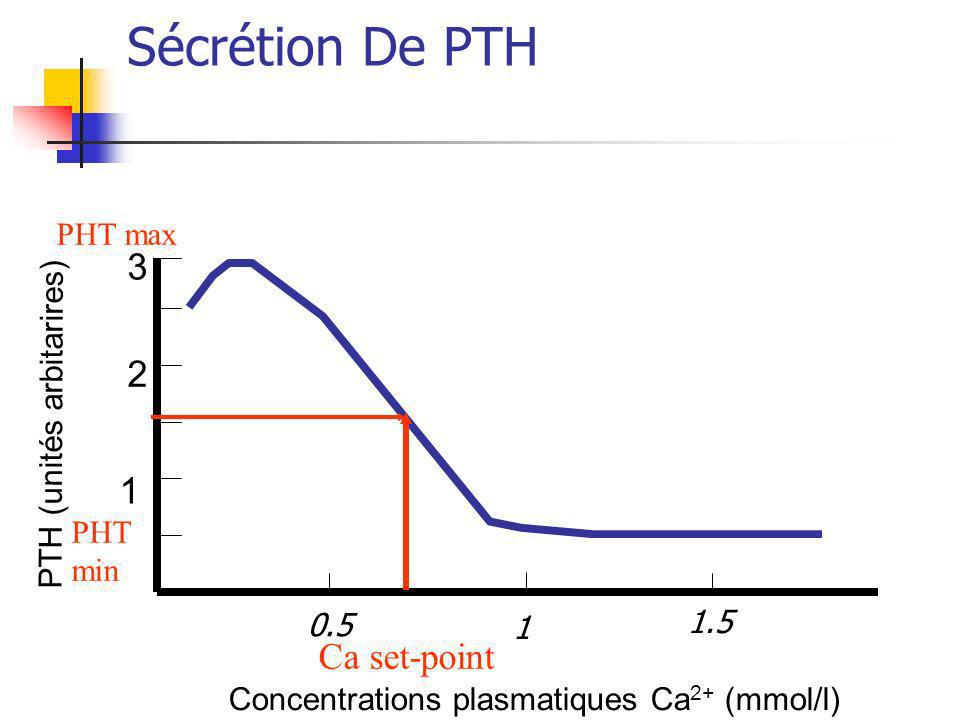 Sécrétion De PTH Ca set-point PHT max PTH (unités arbitarires)