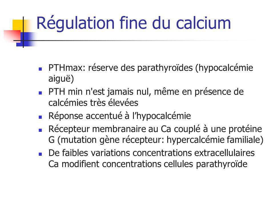 Régulation fine du calcium