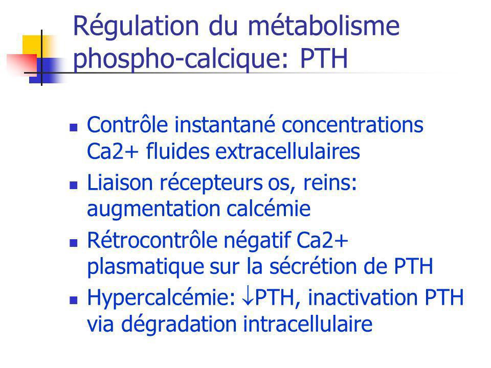 Régulation du métabolisme phospho-calcique: PTH