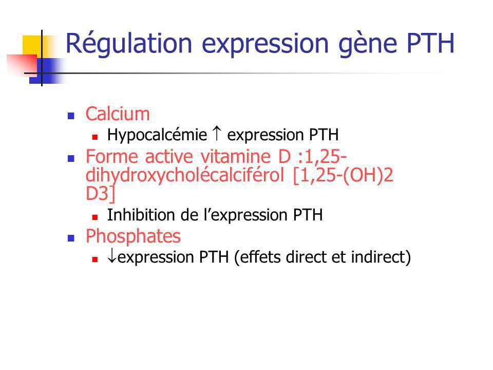 Régulation expression gène PTH
