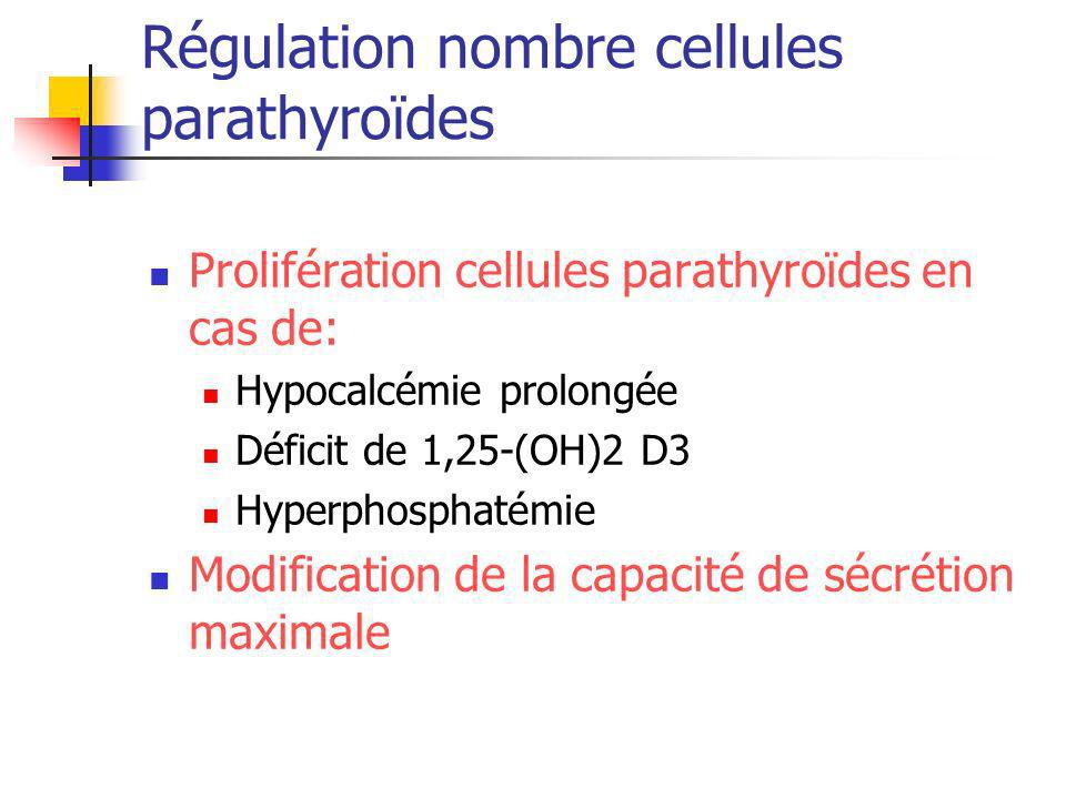 Régulation nombre cellules parathyroïdes