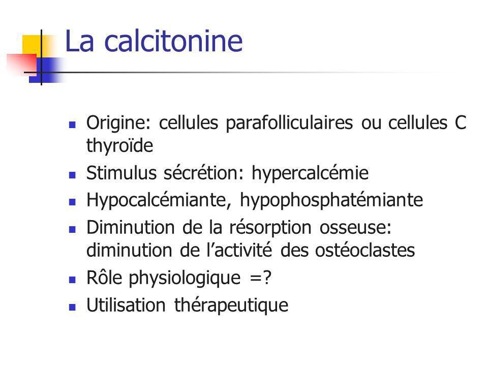 La calcitonine Origine: cellules parafolliculaires ou cellules C thyroïde. Stimulus sécrétion: hypercalcémie.